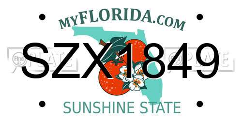 SZX1849 Florida License Plate