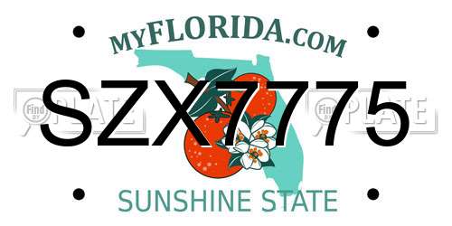 SZX7775 Florida License Plate