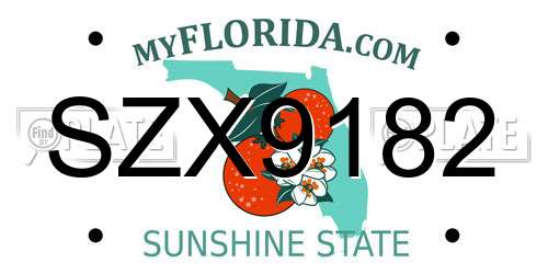 SZX9182 Florida License Plate