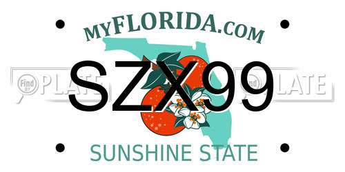 SZX99 Florida License Plate