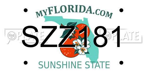 SZZ181 Florida License Plate