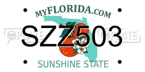 SZZ503 Florida License Plate