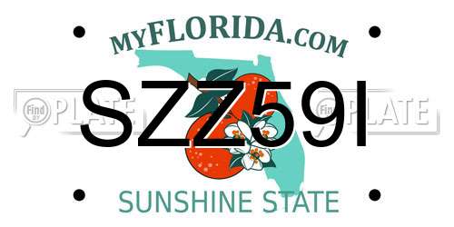 SZZ59I Florida License Plate