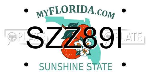 SZZ89I Florida License Plate