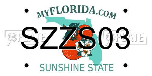 SZZS03 Florida License Plate