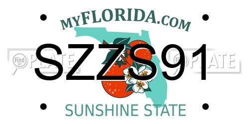 SZZS91 Florida License Plate