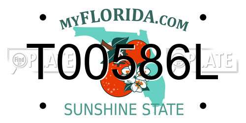 T00586L Florida License Plate
