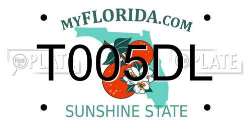 T005DL Florida License Plate