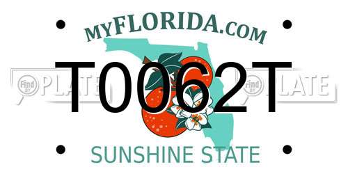 T0062T Florida License Plate