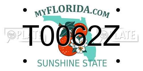 T0062Z Florida License Plate