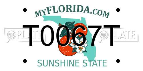 T0067T Florida License Plate