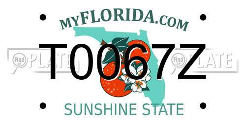 T0067Z Florida License Plate