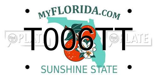 T006TT Florida License Plate