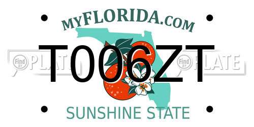 T006ZT Florida License Plate