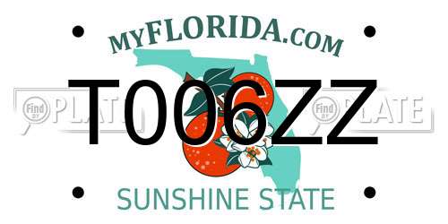 T006ZZ Florida License Plate