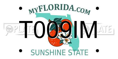 T009IM Florida License Plate
