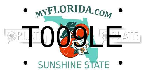 T009LE Florida License Plate