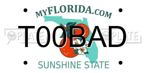 T00BAD Florida License Plate