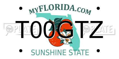 T00GTZ Florida License Plate