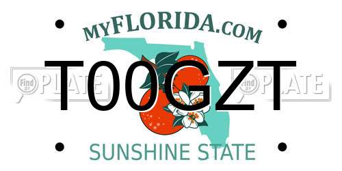 T00GZT Florida License Plate