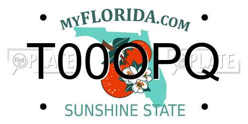 T00OPQ Florida License Plate