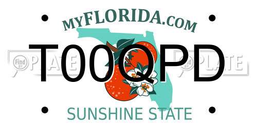 T00QPD Florida License Plate