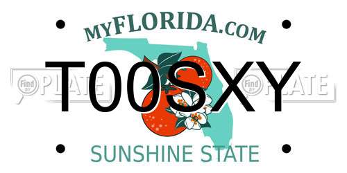 T00SXY Florida License Plate