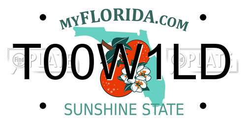 T00W1LD Florida License Plate