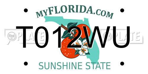 T012WU Florida License Plate