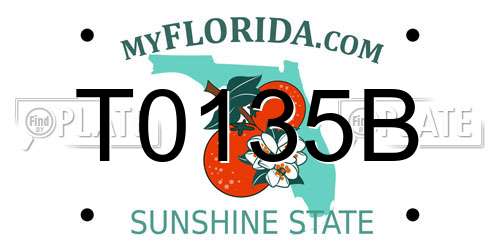 T0135B Florida License Plate