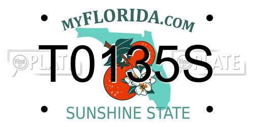 T0135S Florida License Plate