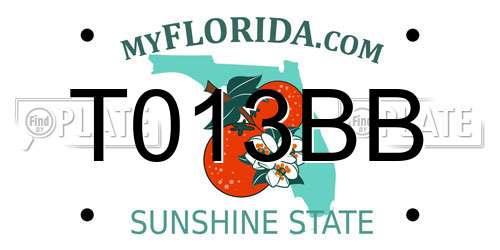 T013BB Florida License Plate