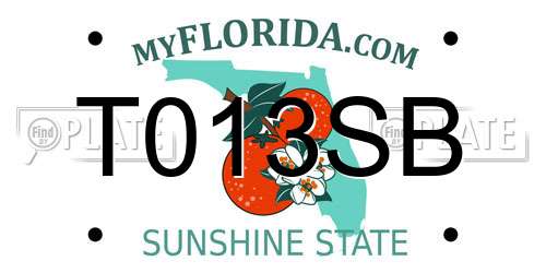 T013SB Florida License Plate