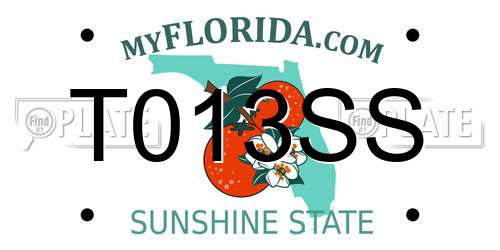 T013SS Florida License Plate