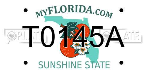 T0145A Florida License Plate