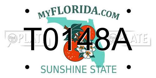 T0148A Florida License Plate