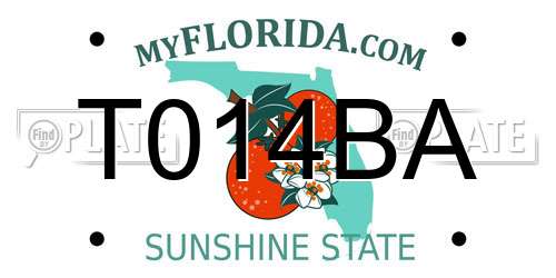 T014BA Florida License Plate