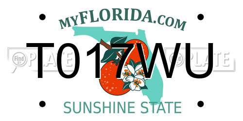 T017WU Florida License Plate