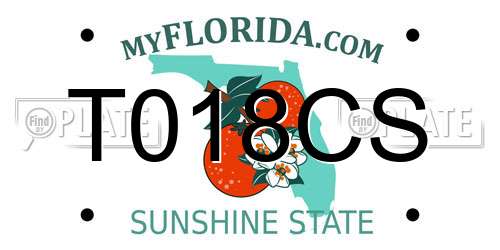 T018CS Florida License Plate
