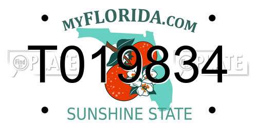 T019834 Florida License Plate