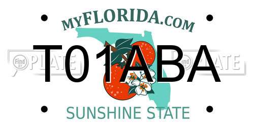 T01ABA Florida License Plate