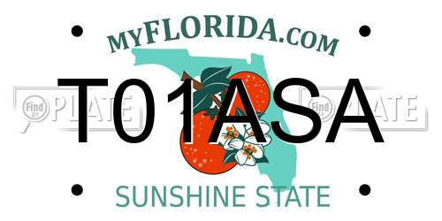 T01ASA Florida License Plate