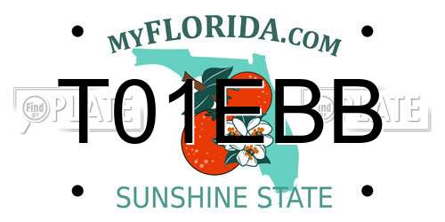 T01EBB Florida License Plate