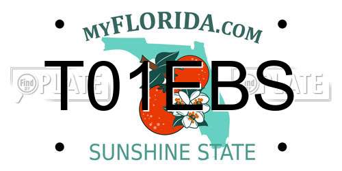 T01EBS Florida License Plate