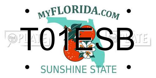 T01ESB Florida License Plate