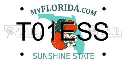 T01ESS Florida License Plate