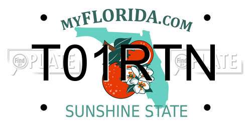 T01RTN Florida License Plate