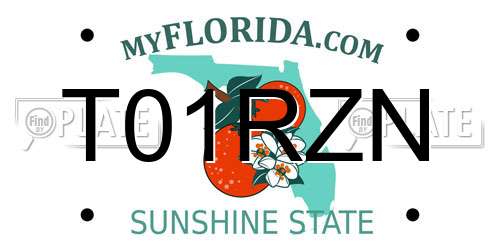 T01RZN Florida License Plate