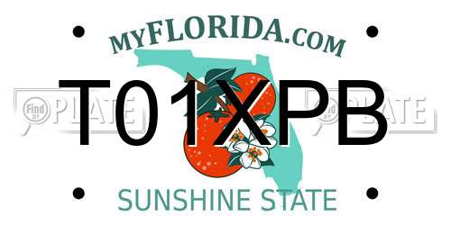 T01XPB Florida License Plate