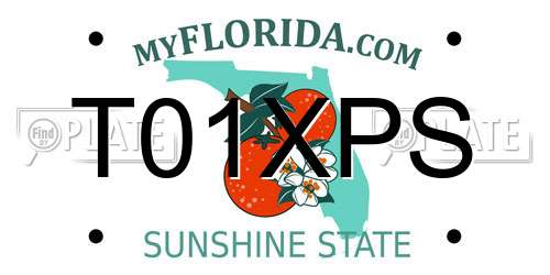 T01XPS Florida License Plate